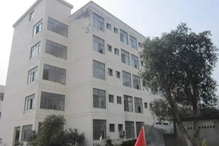 又有2家包裝廠被法院查封,連房地產(chǎn)都被拍賣了