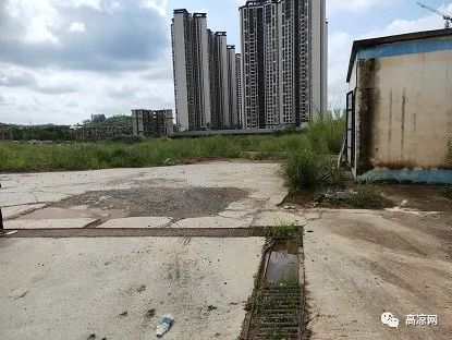 2.1億低價(jià)起拍 高州一地產(chǎn)商的不動(dòng)產(chǎn) 含 別墅 商品樓 司法拍賣